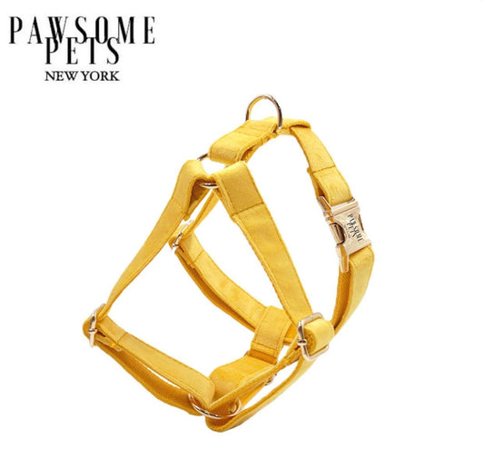 STEP IN HARNESS - DARK YELLOW