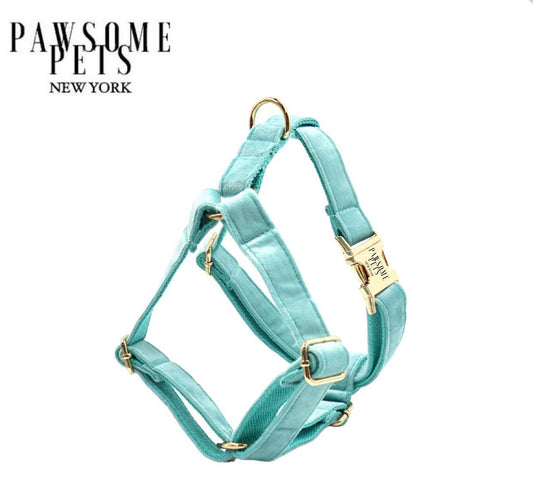 STEP IN HARNESS - MINT GREEN