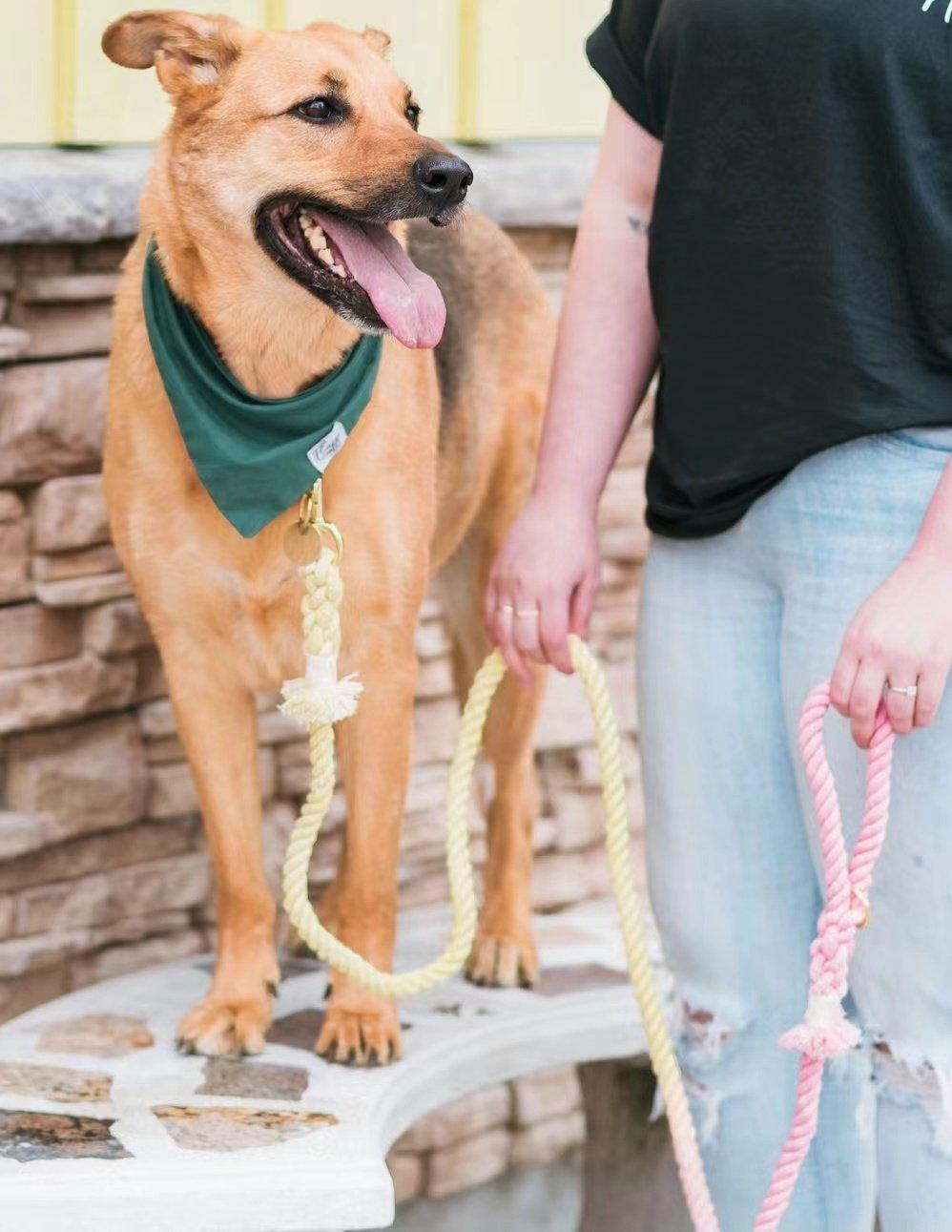 Dog Rope Leash - Mint Green