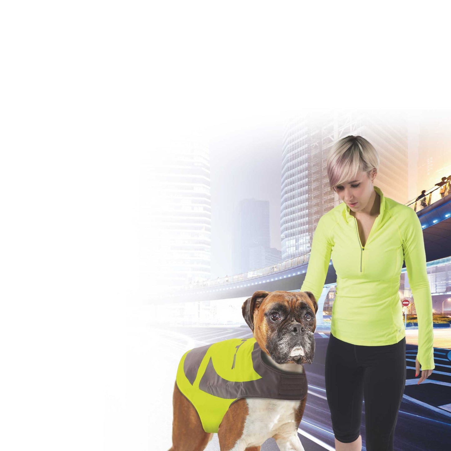 Dog Reflective Jacket Hi Vis Vest with Light Up Pendant Pet Safety Walking Coat