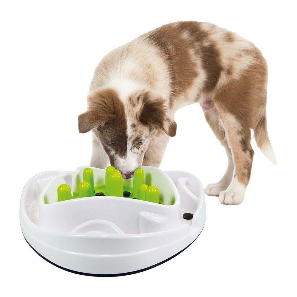 Dog Bowl Food Maze - Interactive Treat Feeder + Water Dish All For Paws Pet-3