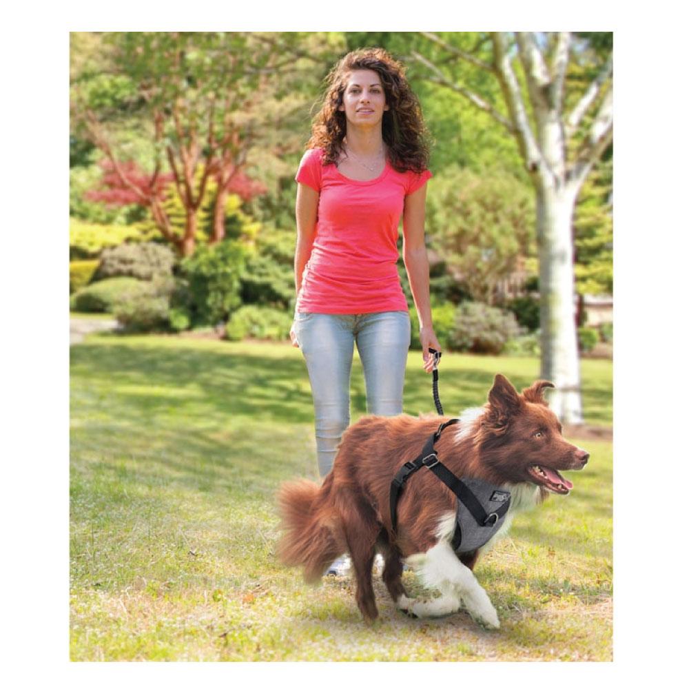 Dog Harness 2 in 1 Combo - Car Travel Rides + Walks - No Pull Leash Seat Belt-7